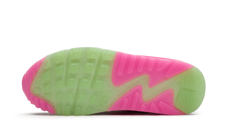 Air Max 90 LX Daisy Leopard Iridescent