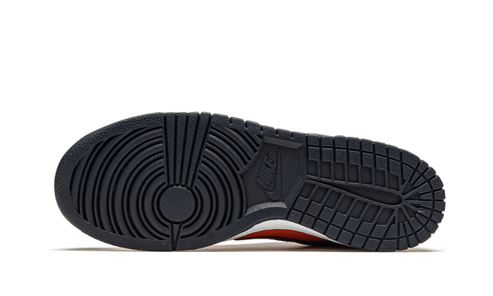 Dunk Low SP Champ Colors