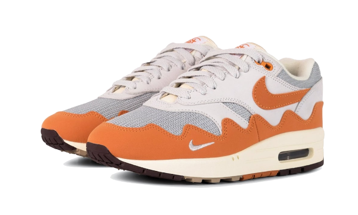 Air Max 1 Patta Monarch