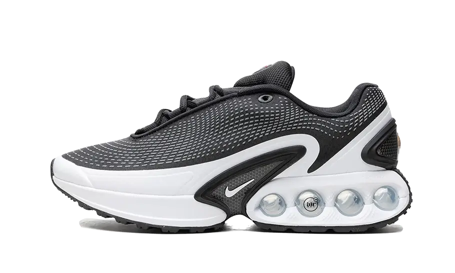 Air Max DN Black White Cool Grey