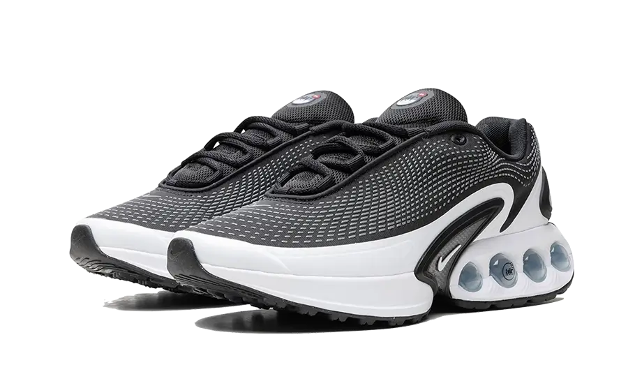 Air Max DN Black White Cool Grey