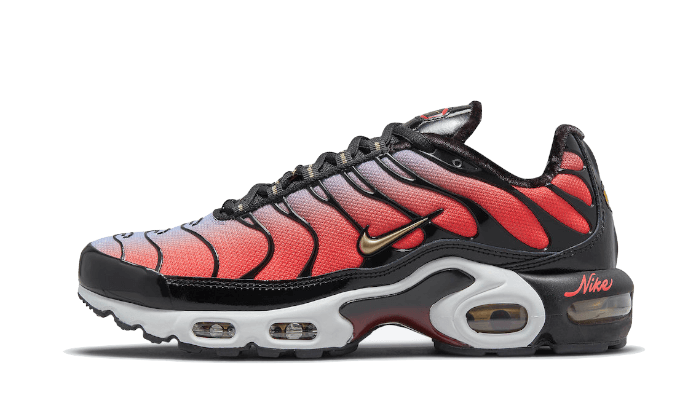 Air Max Plus Sisterhood