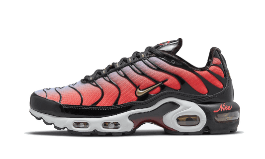 Air Max Plus Sisterhood