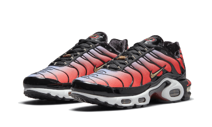 Air Max Plus Sisterhood