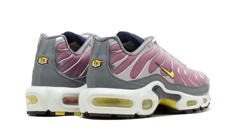 Air Max Plus Violet Dust