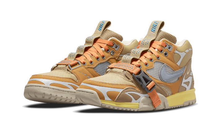 Air Trainer 1 SP Coriander