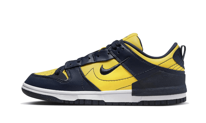 Dunk Low Disrupt 2 Michigan