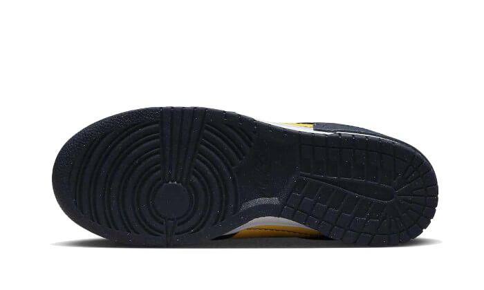 Dunk Low Disrupt 2 Michigan
