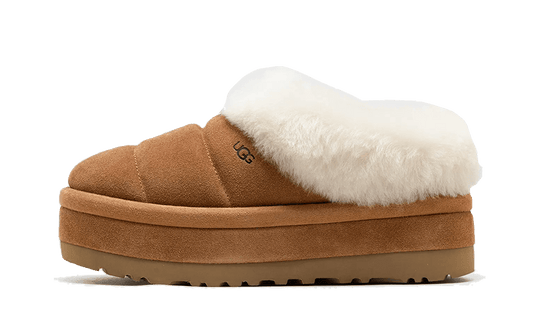 Tazzlita Chestnut