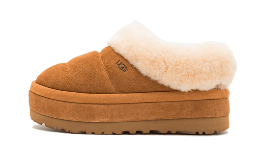 Tazzlita Chestnut (Enfant)